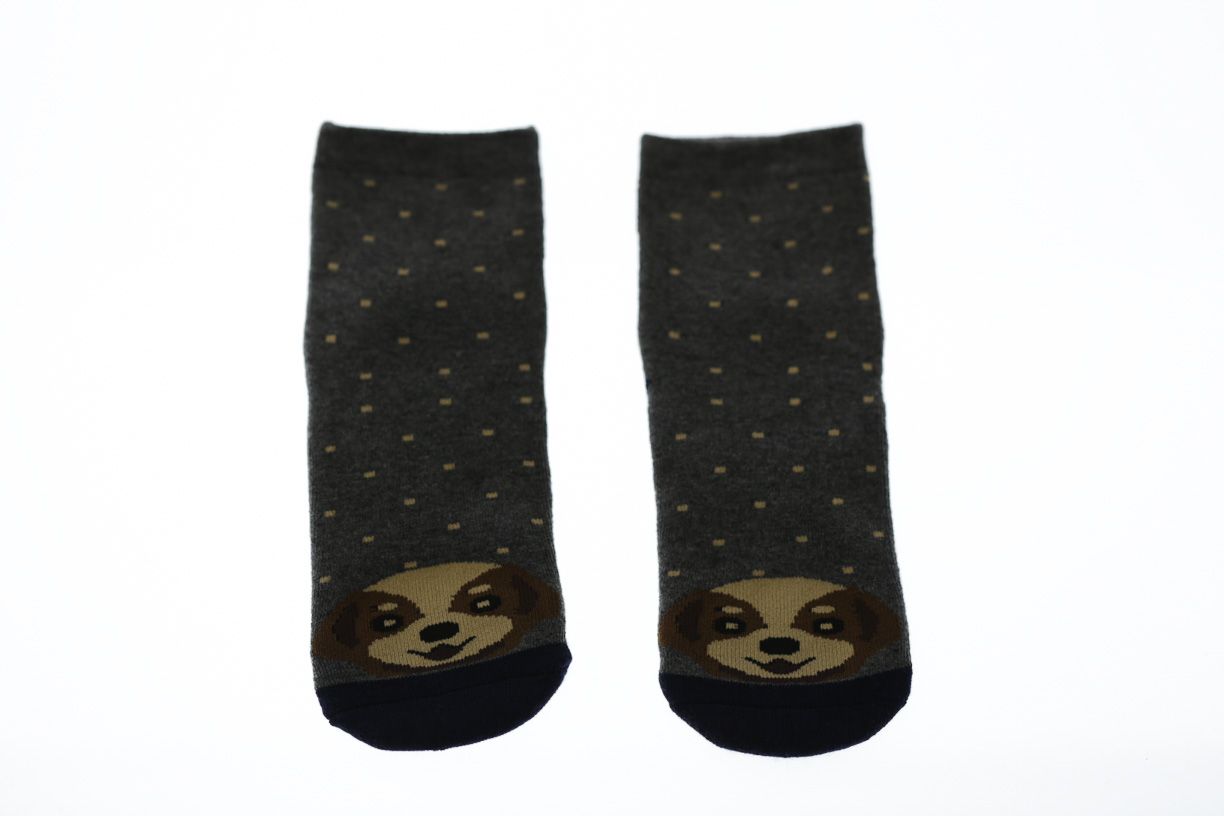 Носки на махре с Собачкой для мальчика BabyKroha