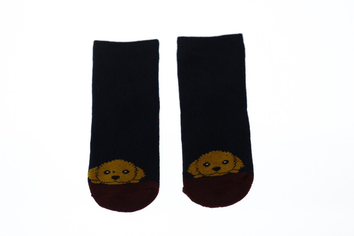 Шкарпетки на махру з Собачкою для хлопчика BabyKroha